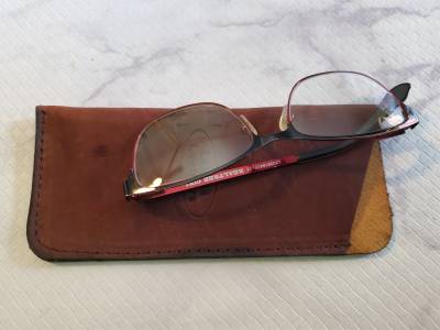 Bison Sunglass Case