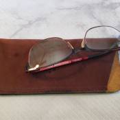 Bison Sunglass Case